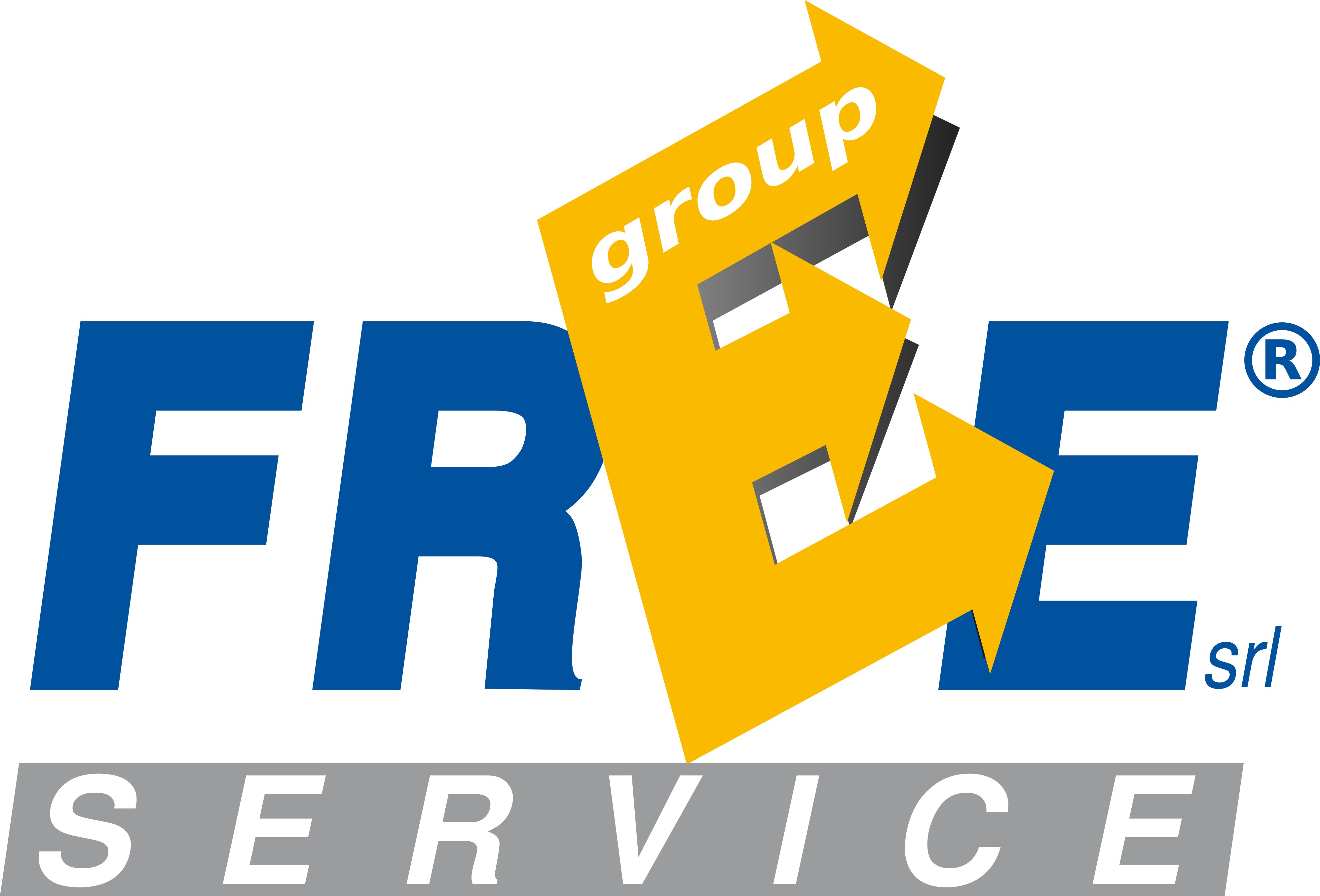 Chi Siamo Freeservicegroup Srl